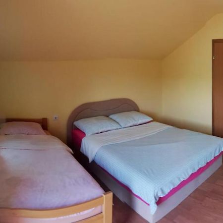 Apartmani Scit Prozor 外观 照片